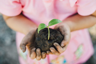 Close-up of hand holding small plant