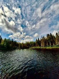 nature
