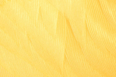 Full frame shot of yellow fabric