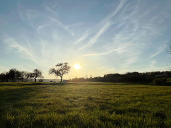 Scenic view of field against sky