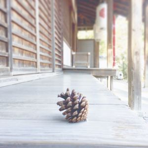 Close-up of pine cone on table