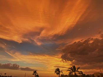 Low angle view of silhouette trees against dramatic sky