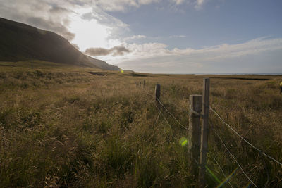 Scenic view of field against sky