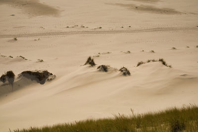 View of sand dunes in desert