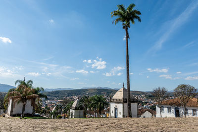 Palm trees by building against sky