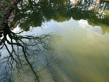 Reflection of trees in lake against sky