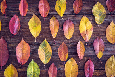 High angle view of leaves arranging on wooden table