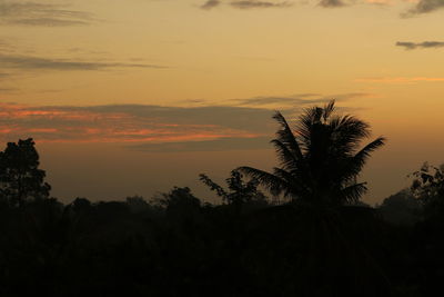 Low angle view of silhouette trees against sky during sunset