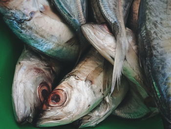 Close-up of fish for sale in market