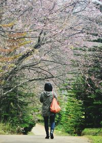 Rear view of man standing on tree