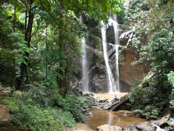 Waterfall in forest