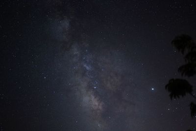 Low angle view of stars in sky at night