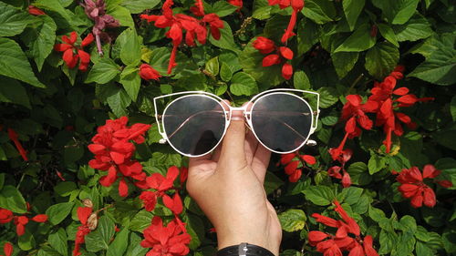 Midsection of person by sunglasses on red flowering plants