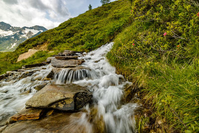 Scenic view of waterfall