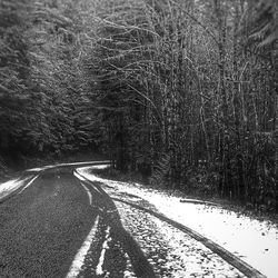 Road amidst trees in forest during winter