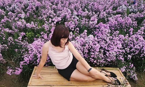 Rear view of woman sitting on purple flowering plants