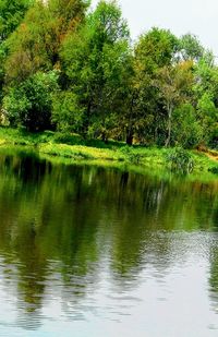 Scenic view of lake by trees