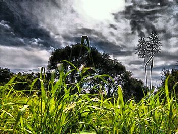 Scenic view of field against cloudy sky