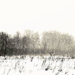 Snow covered field against clear sky