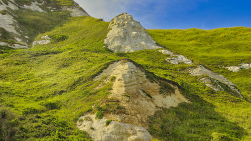 White cliffs with grass and clear blue sky