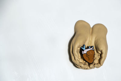 High angle view of stuffed toy against white background
