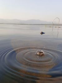 Close-up of rippled water in lake against sky