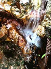 Close-up of water flowing through rocks