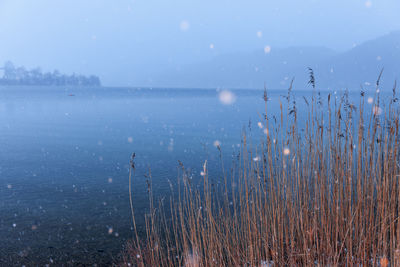 Scenic view of lake against sky during winter