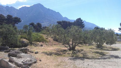 Scenic view of mountains against clear sky