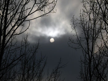 Low angle view of bare trees against sky