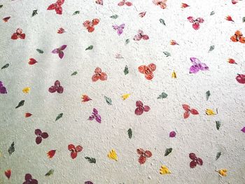 Full frame shot of multi colored pattern