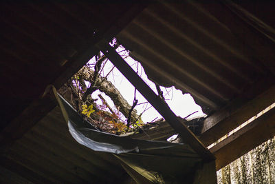 Low angle view of potted plants on building