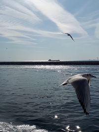 Seagulls flying over sea against sky
