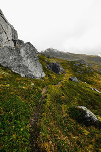 Hiking trail in the mountains of lofoten islands