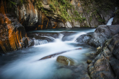 Scenic view of waterfall in forest