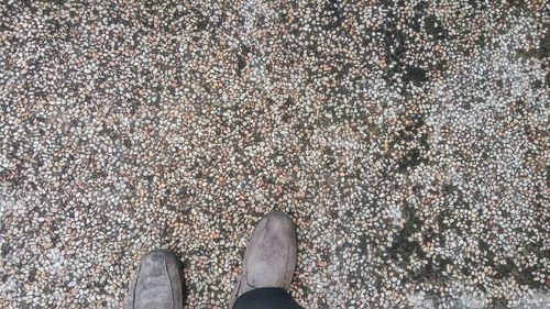 Low section of man standing on floor
