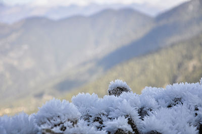 Close-up of snow covered mountain