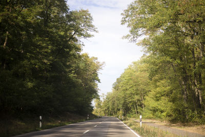 Road amidst trees against sky