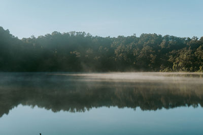 Reflection of trees in lake against sky