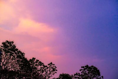 Low angle view of silhouette trees against romantic sky