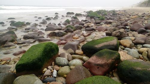 Close-up of pebbles on beach against sky