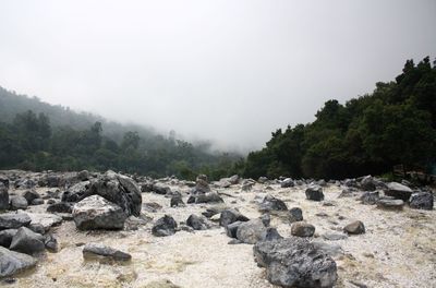 Beautiful landscape at kawah domas, tangkuban perahu, west java.