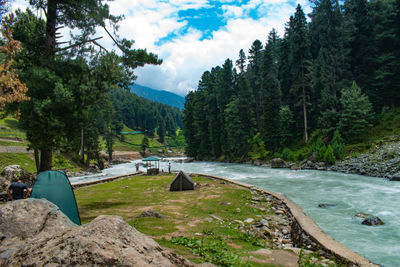 Scenic view of river amidst trees against sky