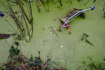 High angle view of abandoned trolley in dirty water 