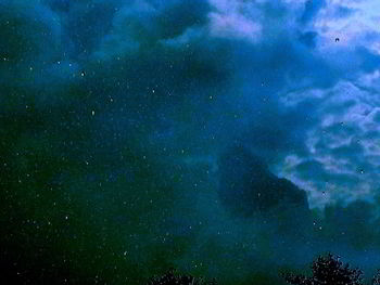 Low angle view of star field against sky at night