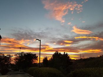 Silhouette trees against dramatic sky during sunset