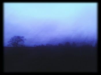 Bare trees on landscape