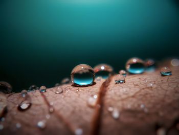 Close-up of water drops on blue surface