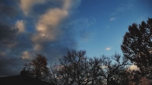 Low angle view of silhouette trees against sky