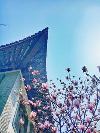 Low angle view of built structure against blue sky